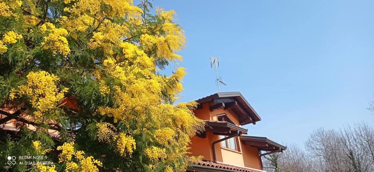 I Salici Appartement Candia Canavese Buitenkant foto